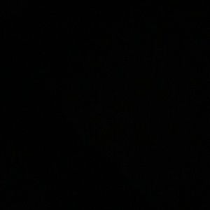 Meet your Posher, Bryan